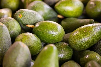 Kuminda Avocado