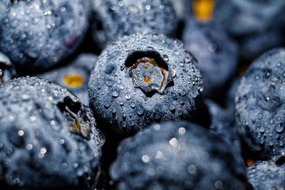 Kuminda Blueberries