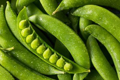 Kuminda Sugar Snap Peas